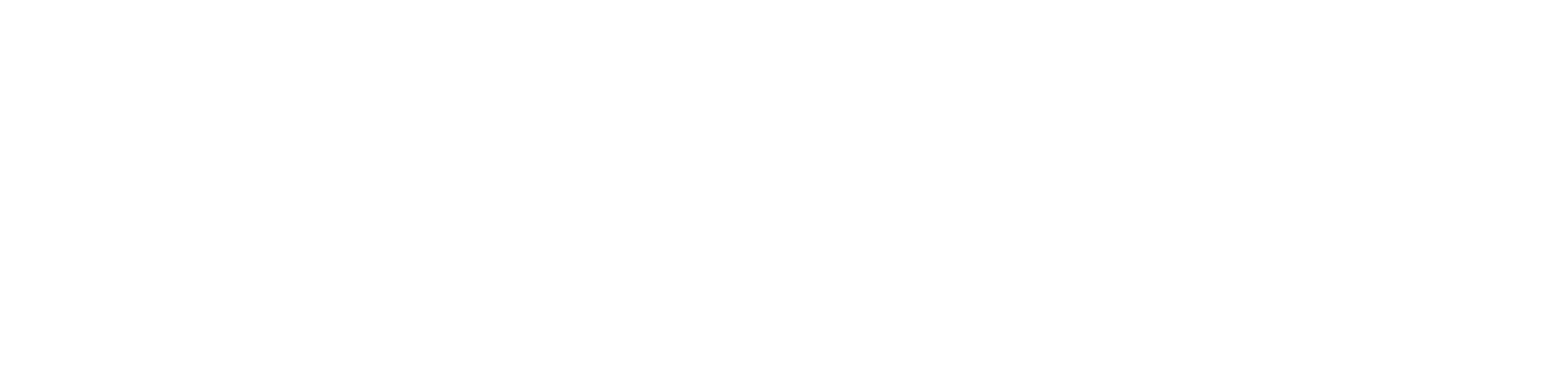 Astrosagga